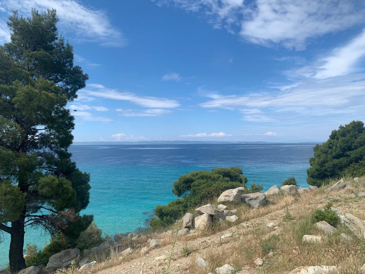 Niovi Villas Nikiti  Dış mekan fotoğraf
